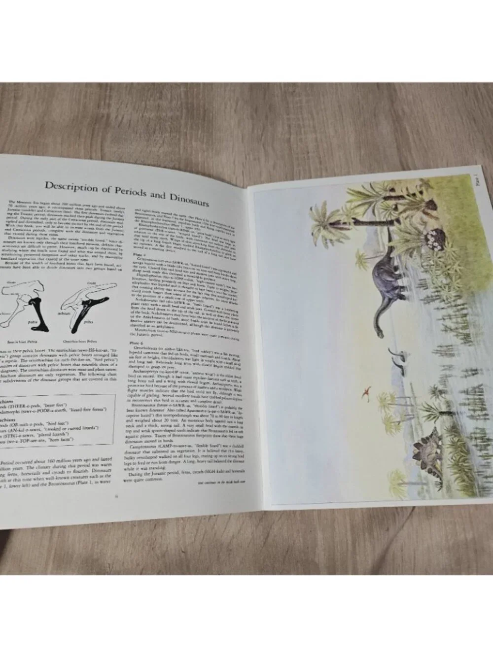 Dinosaur Dioramas to Cut and Assemble by Matthew Kalmenoff (1983, Paperback)